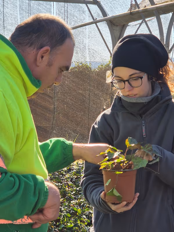 Team working with plants in the greenhouse