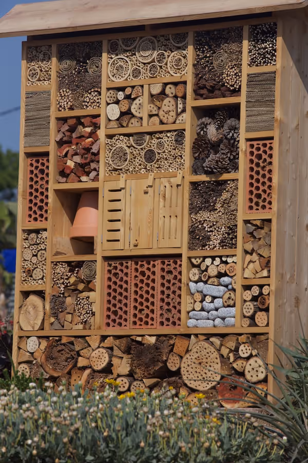 Insect hotel for beneficial fauna at the nursery