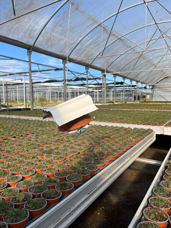 Greenhouse with mobile cultivation tables