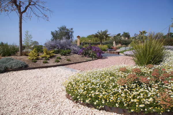 Espèces méditerranéennes dans le jardin